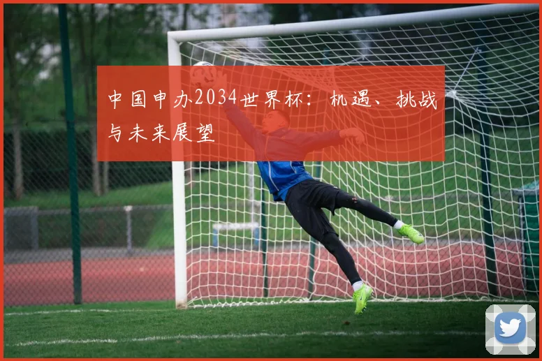 中国申办2034世界杯：机遇、挑战与未来展望
