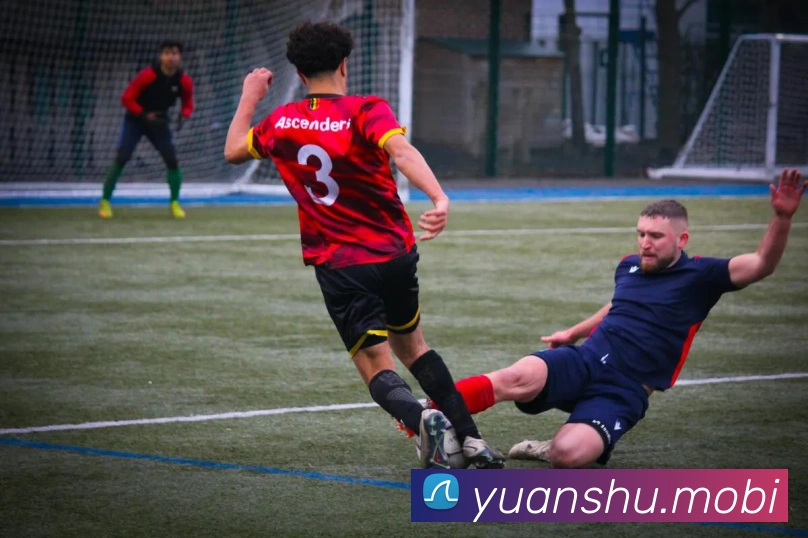 开云手机在线官网登录平台生态图