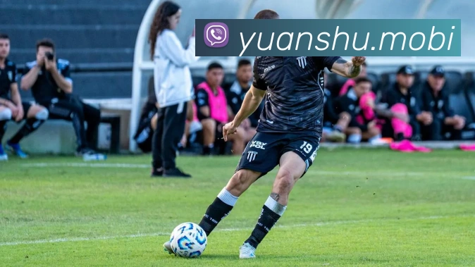 开云手机在线官网登录APP 封面图